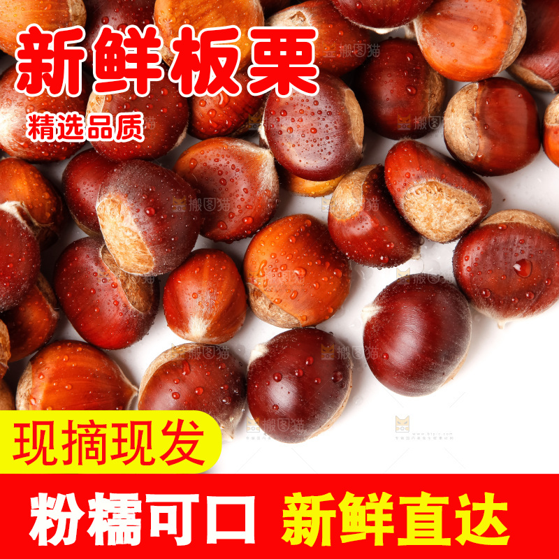 白底上的新鲜栗子