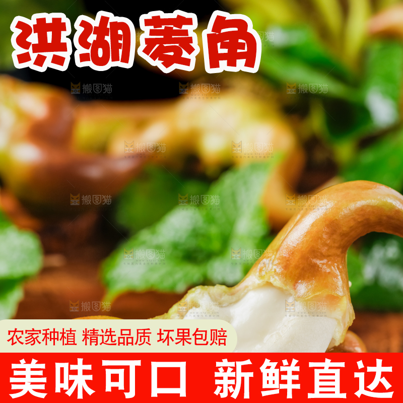 木底上的菱角