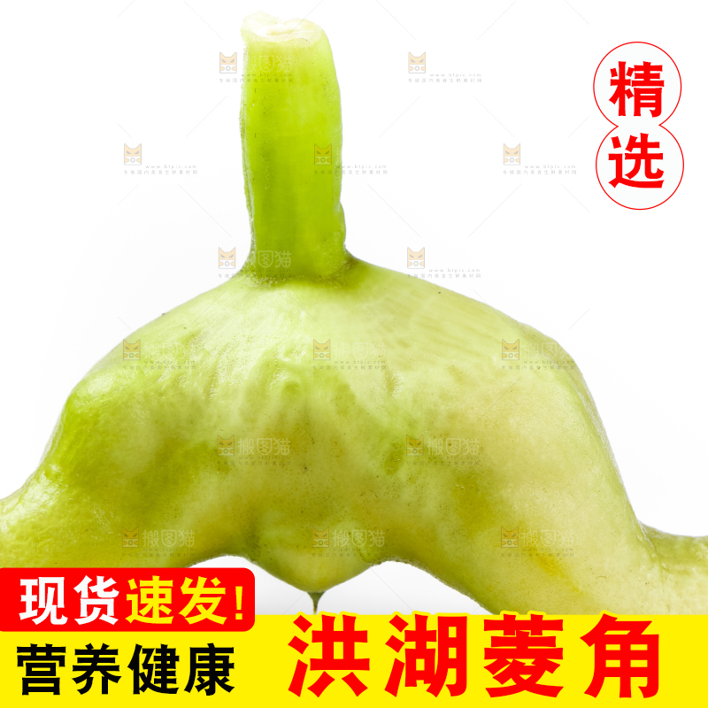 浅底上的新鲜菱角