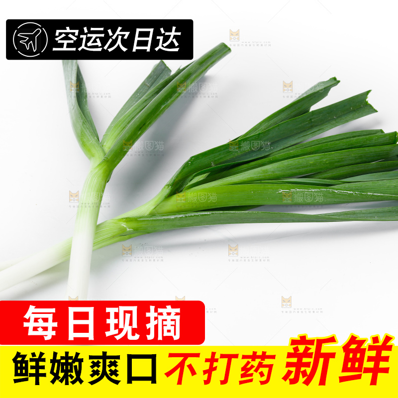 白底上的新鲜蒜苗