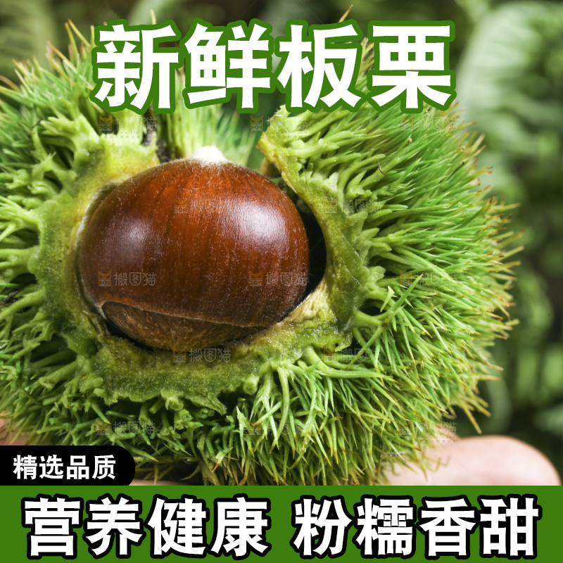 手里拿着新鲜栗子