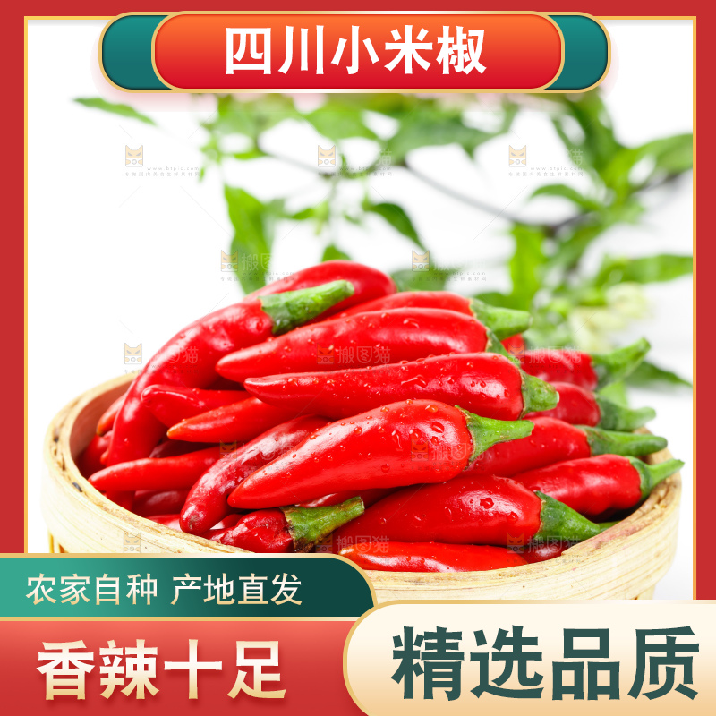 白底上摆放着广西小米椒