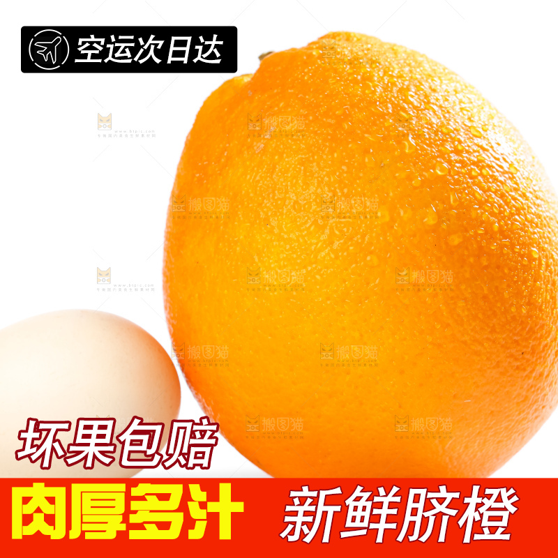 白底上的高山甜橙