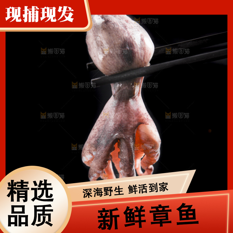 深底上的章鱼