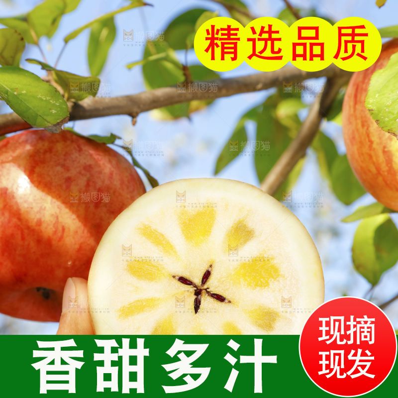 手里拿着阿克苏冰糖心苹果