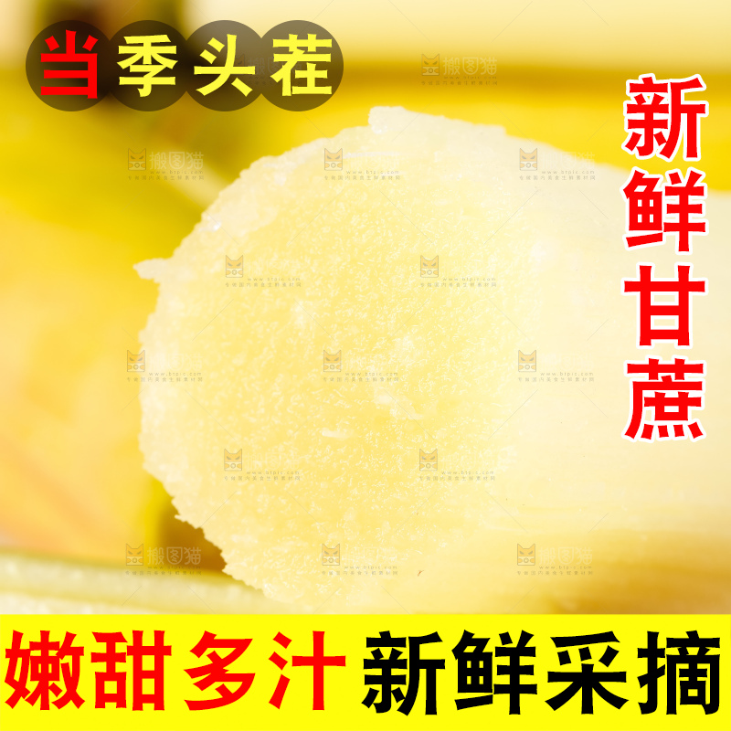 深底上的广西白玉甘蔗