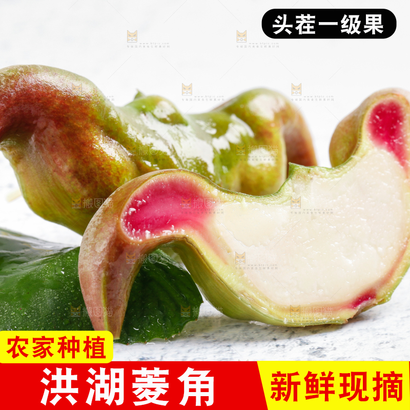 白底上的菱角