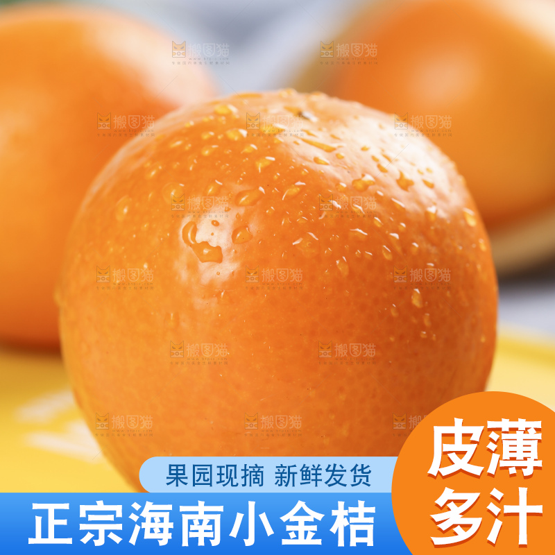 浅底上摆放着金桔