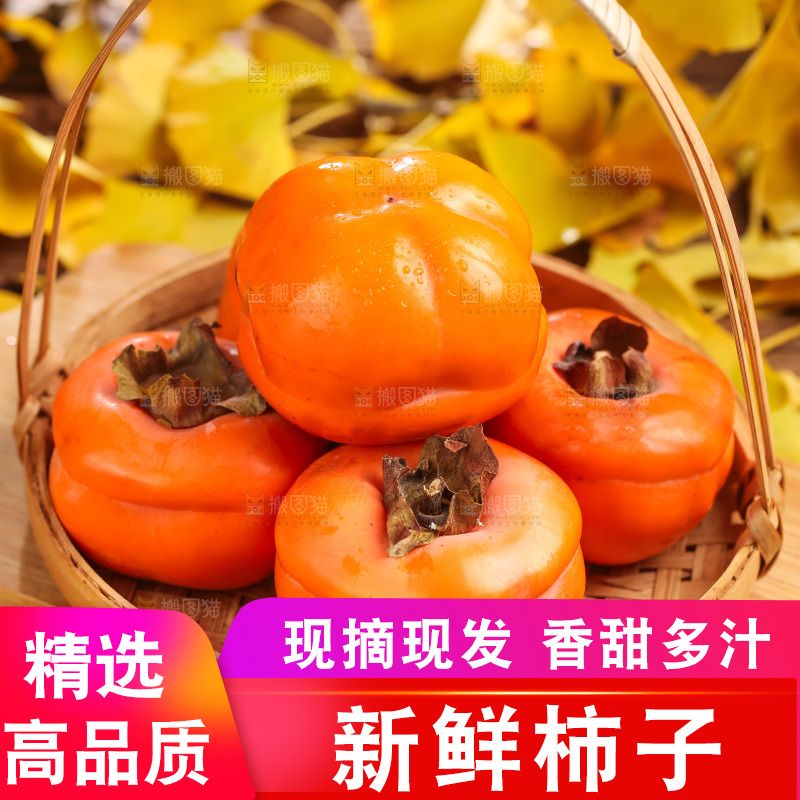 篮子里装着河北磨盘柿子