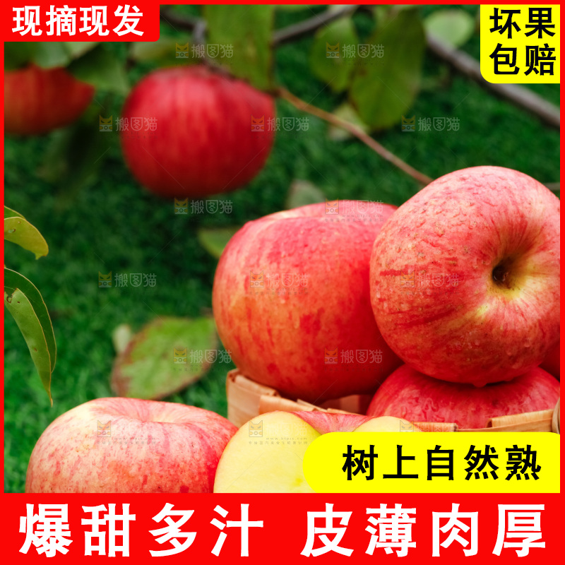 草地上放着冰糖心苹果