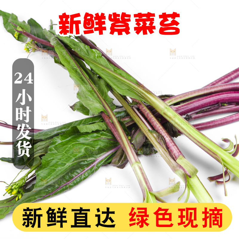 白底上放着紫菜苔