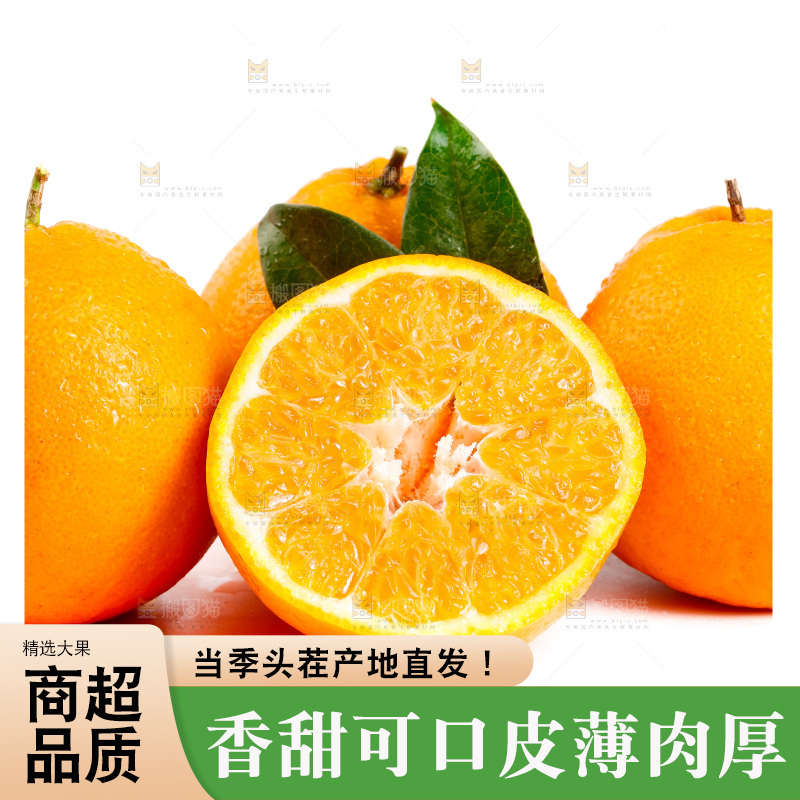 白底上的春见耙耙柑