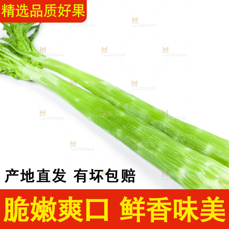 白底上的莴笋