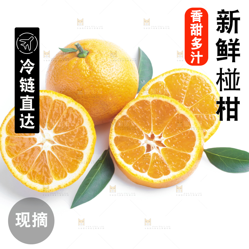 白底上的椪柑