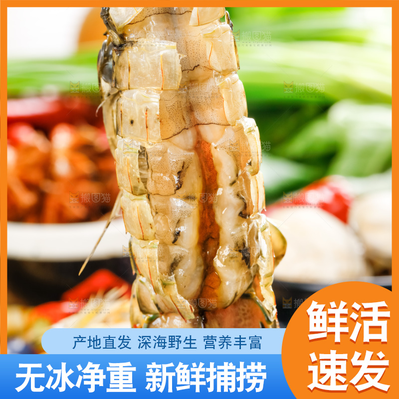 筷子上夹着虾姑