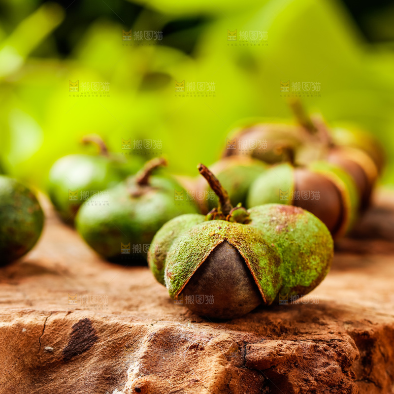 木板上放着茶籽