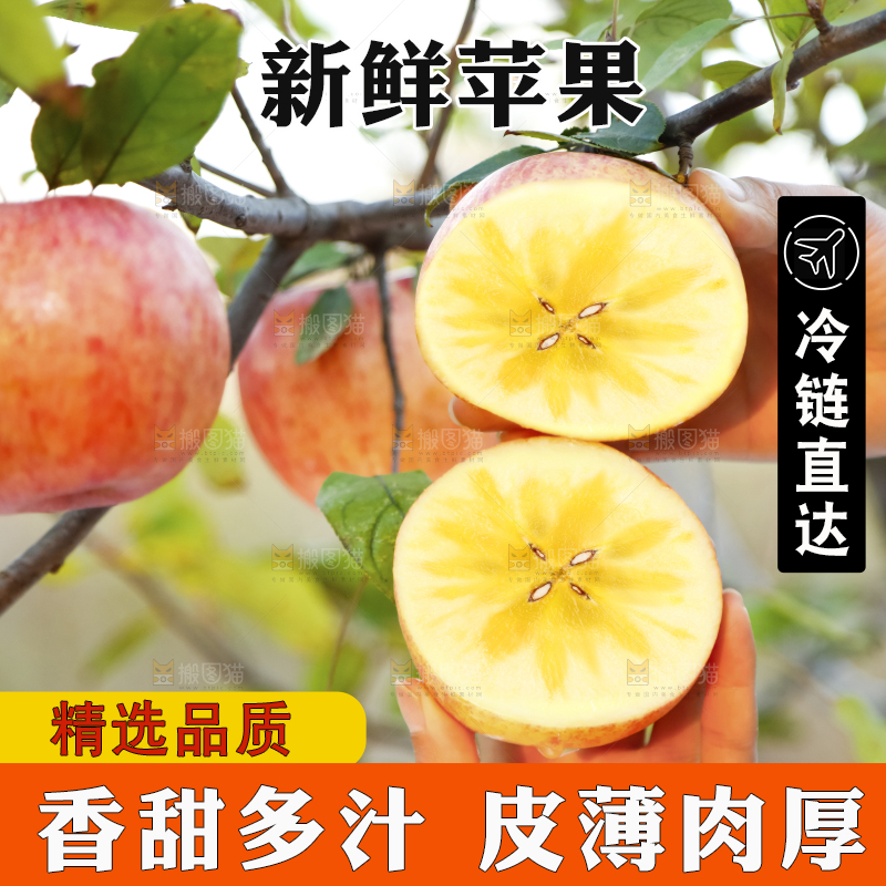 手里拿着新疆冰糖心苹果