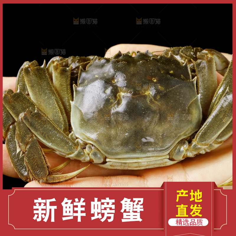 手里拿着鲜活螃蟹