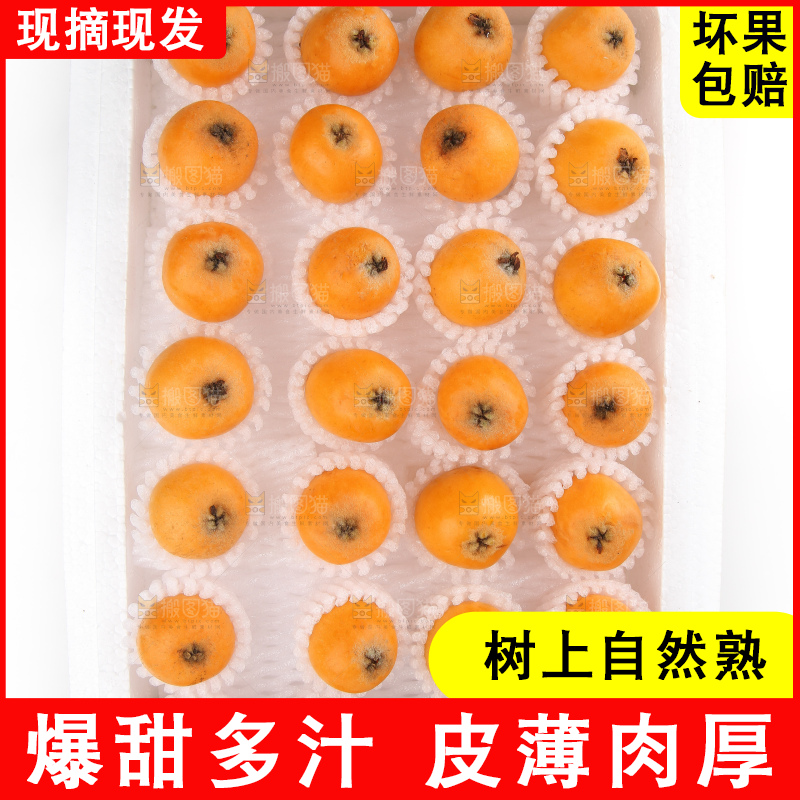 泡沫箱里装着米易枇杷