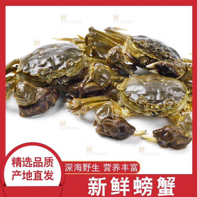 浅底上的鲜活螃蟹