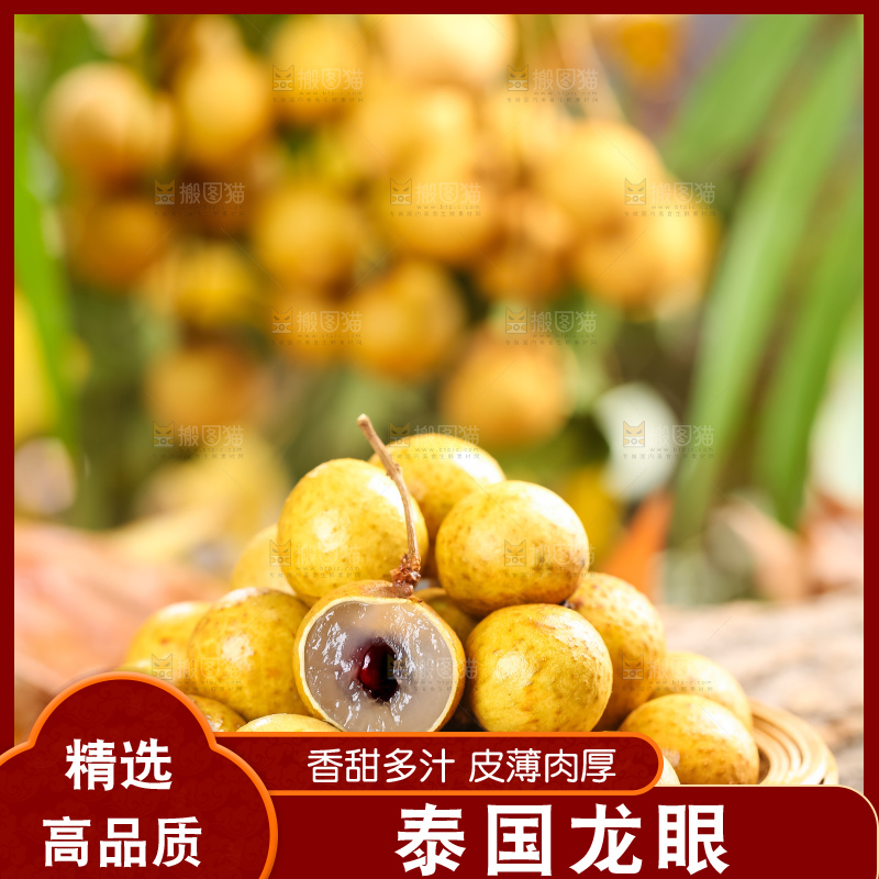 木底上的广东龙眼