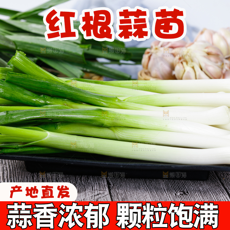 深底上的蒜苗