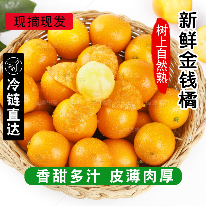 篮子里装着小金桔