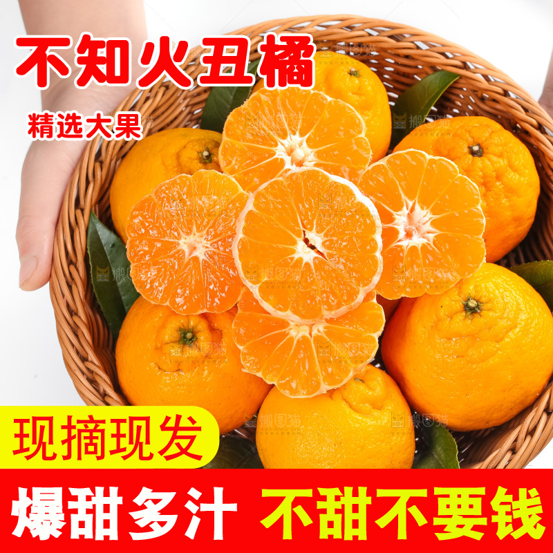 篮子里装着四川丑柑