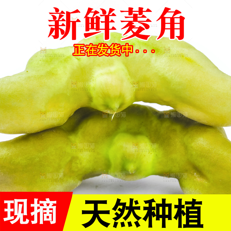 白底上放着洪湖菱角