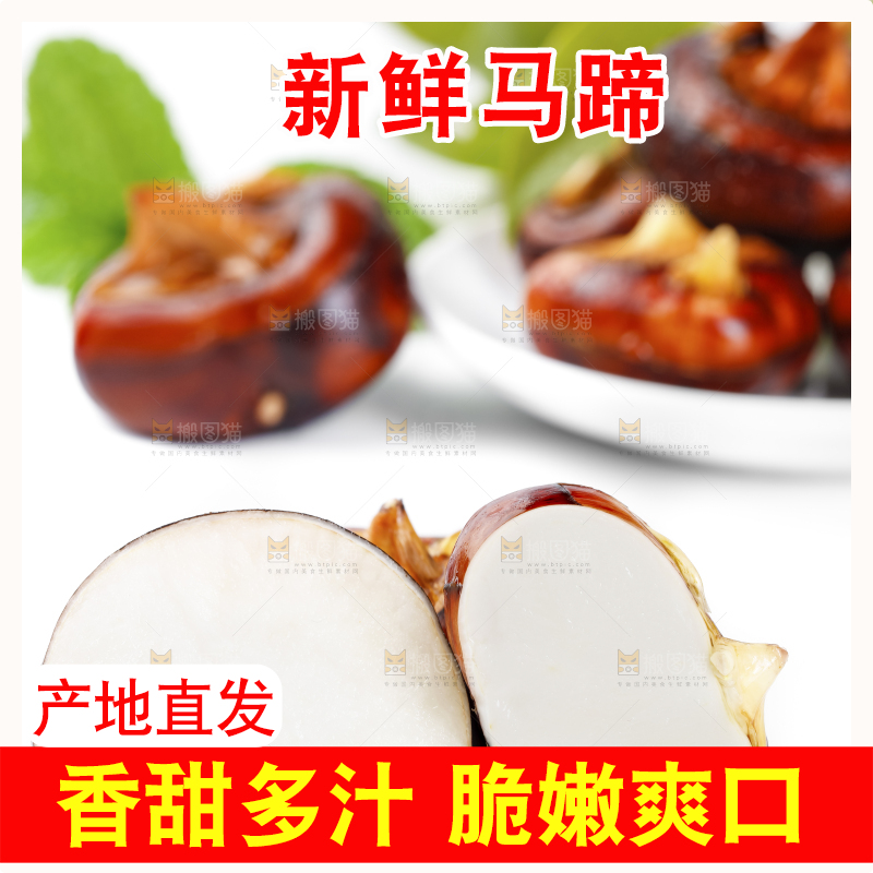 白底上放着广西马蹄