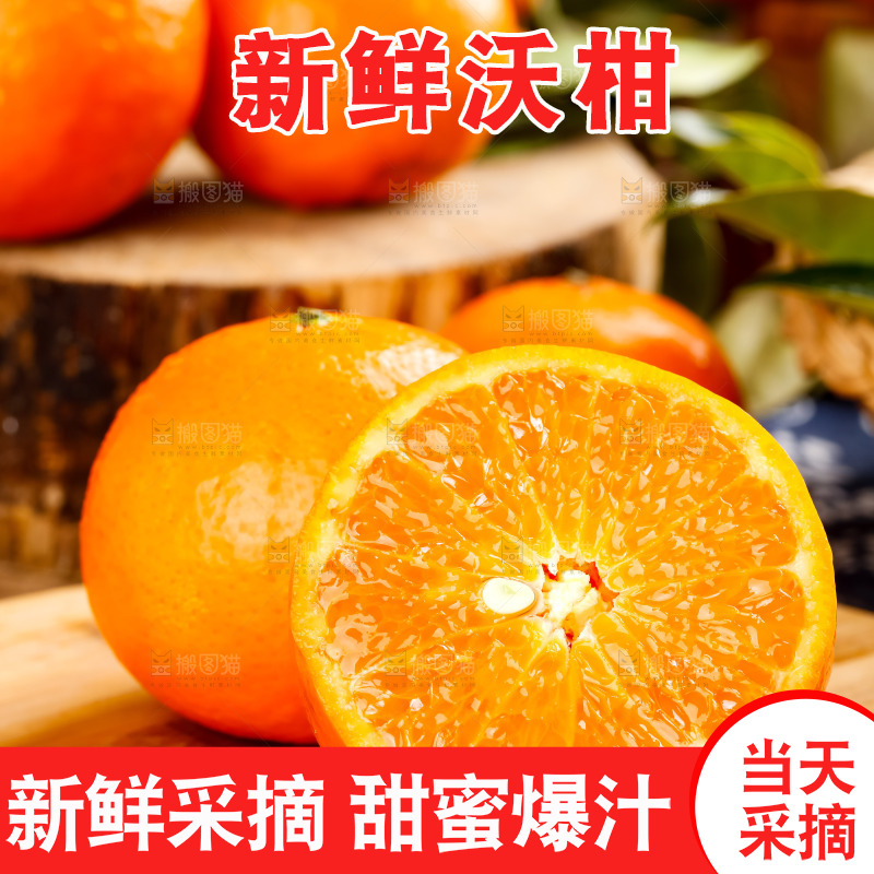 木板上摆放着广西沃柑