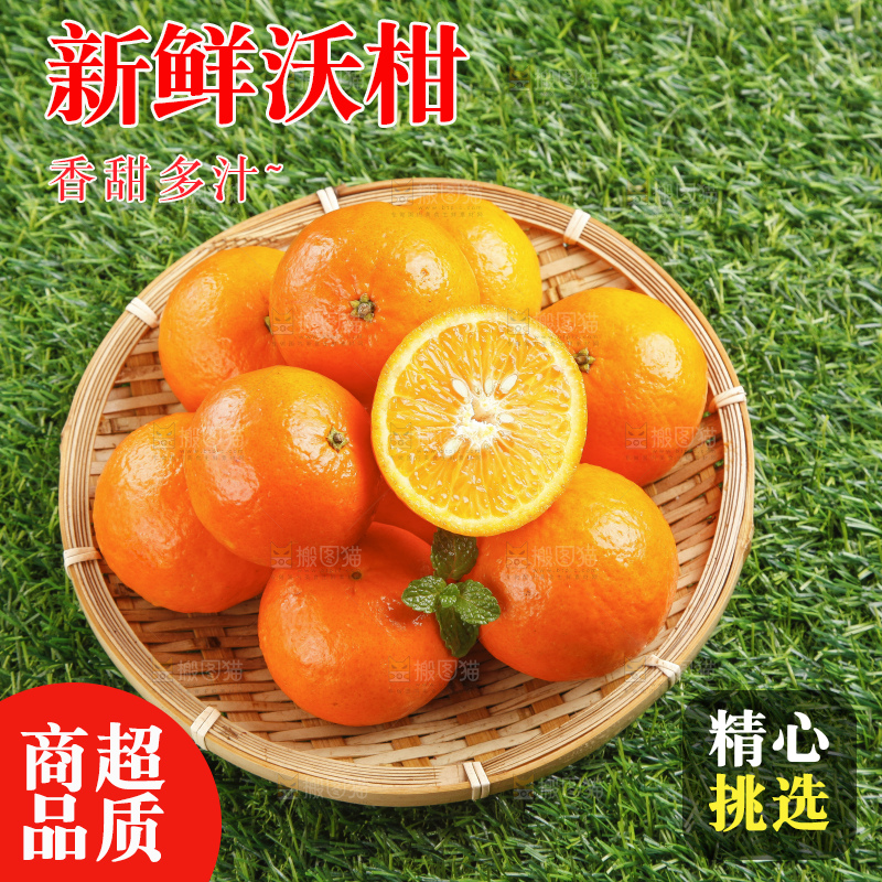 草地上放着贵妃柑