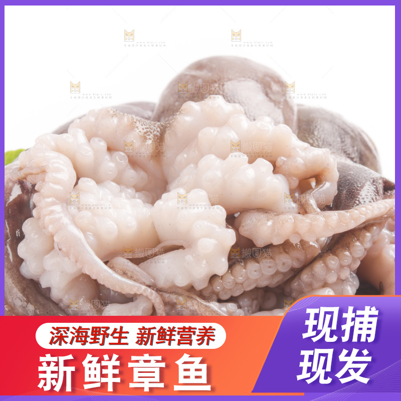 盘子里的大连章鱼