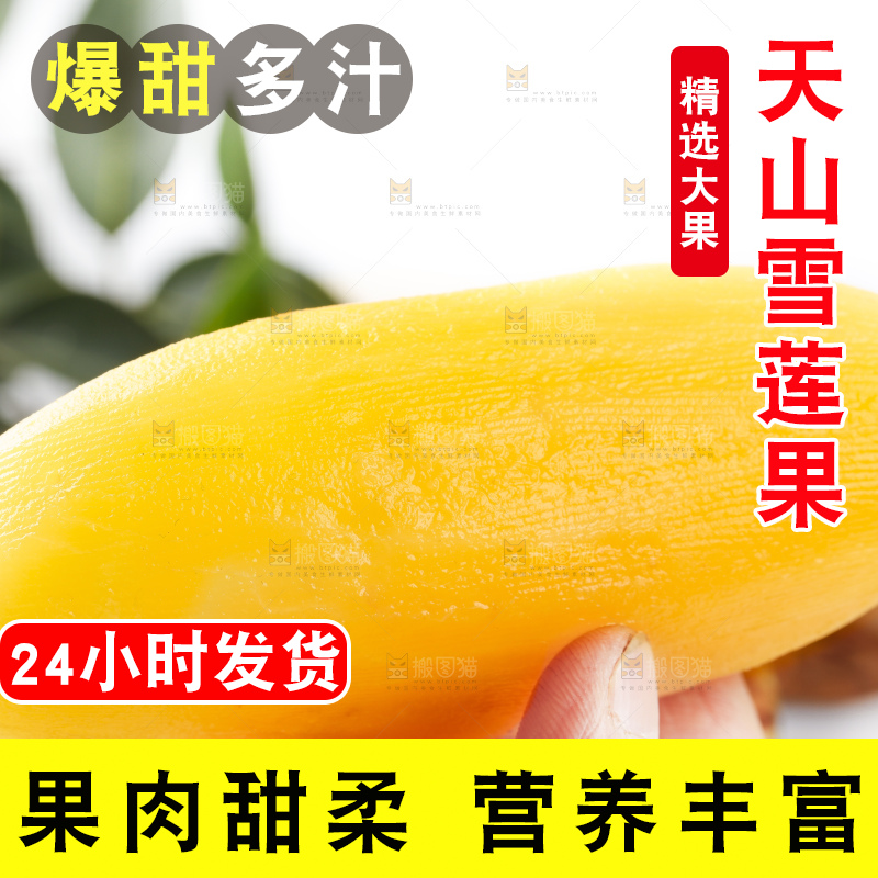 手里拿着新鲜雪莲