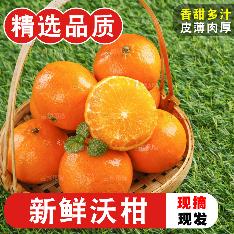 草地上放着贵妃柑