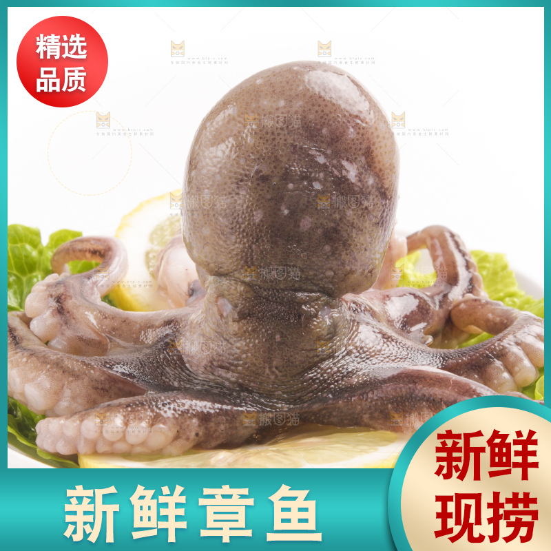 盘子里的大连章鱼