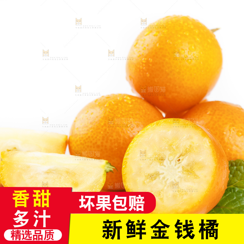 白底上的金桔