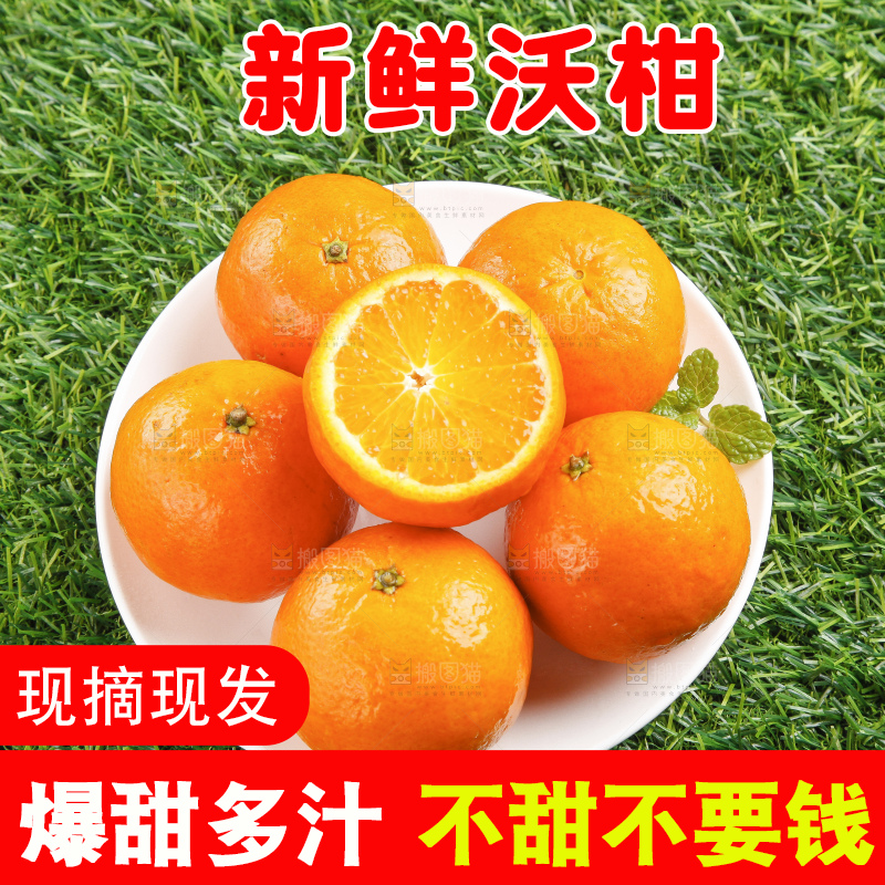 草地上放着贵妃柑