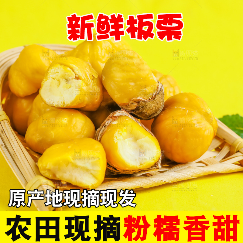 黄底上的迁西板栗