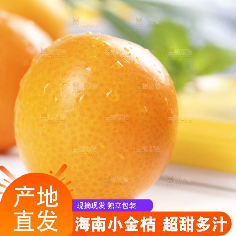 浅底上摆放着金桔