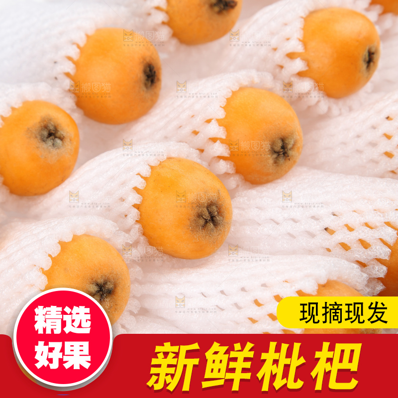 泡沫箱里装着米易枇杷