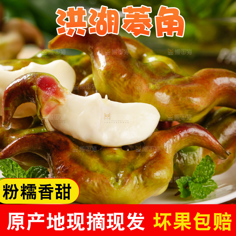 盘子里洪湖菱角