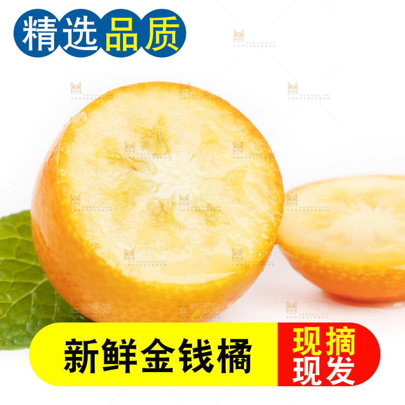白底上的金桔