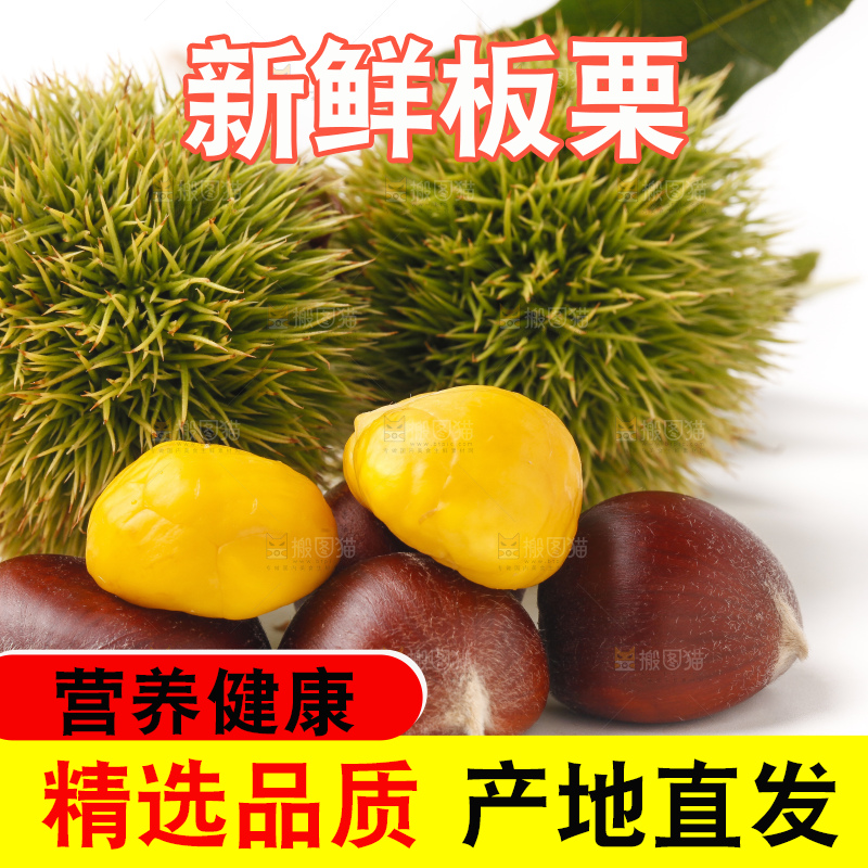 白底上摆放着迁西板栗
