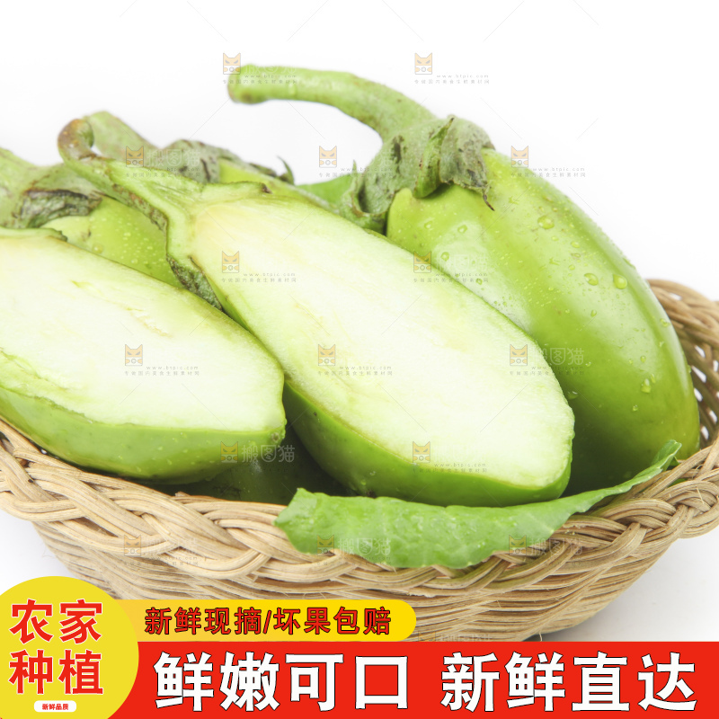 篮子里装着茄子