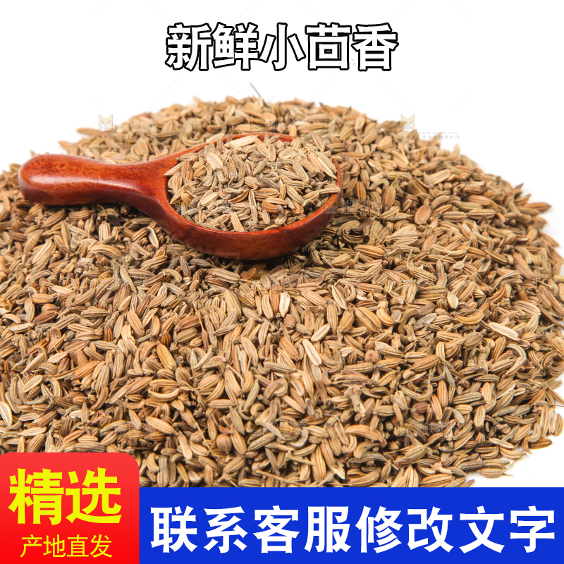 白底上一堆小茴香
