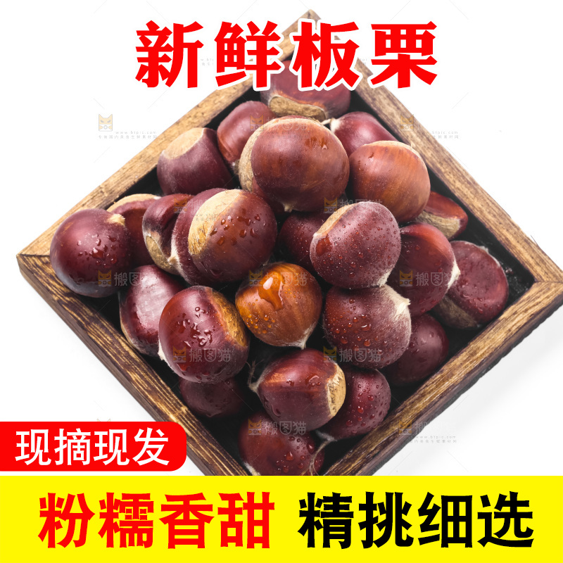 浅底上的板栗