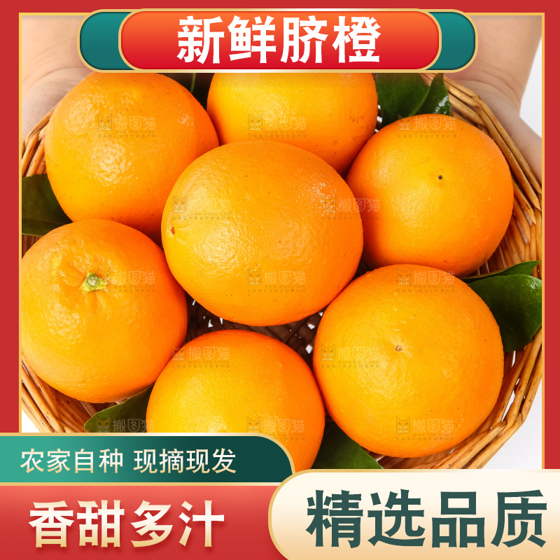 篮子里装着赣南脐橙