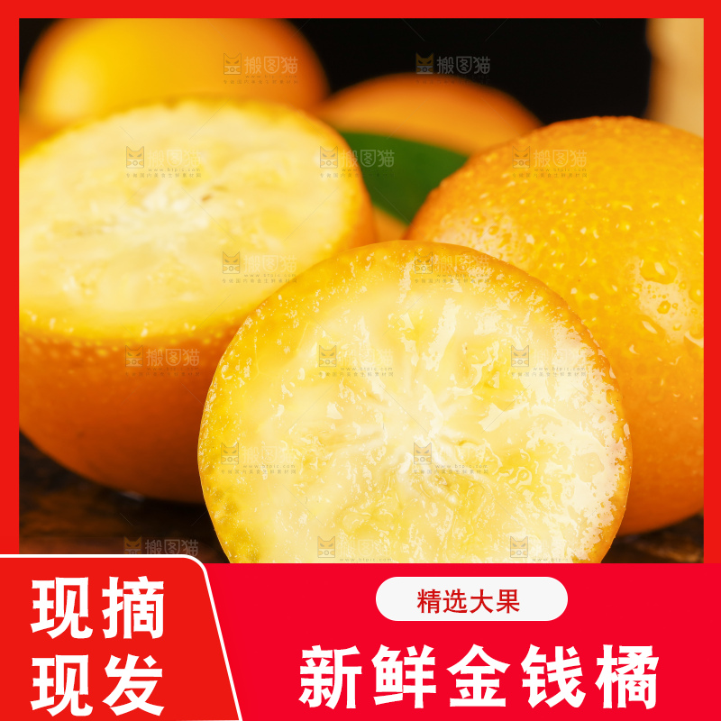 黑底上的小金桔