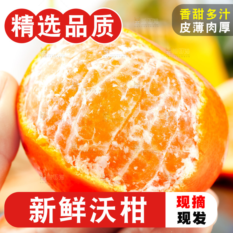 手里拿着新鲜沃柑